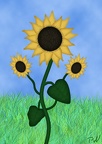 030 - Sonnenblume