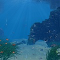 Unterwasserszene