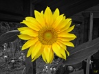 Color Key